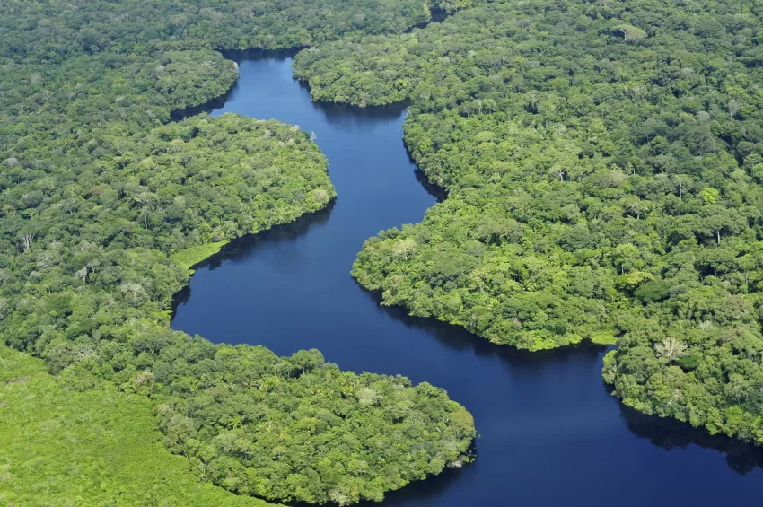 Aerial view of the Amazon Rainforest, near Manaus, the capital of the Brazilian state of Amazonas. Credit: ©2011CIAT/NeilPalmer Alliance of Bioversity International and CIAT's photo, licensed as Attribution-ShareAlike.